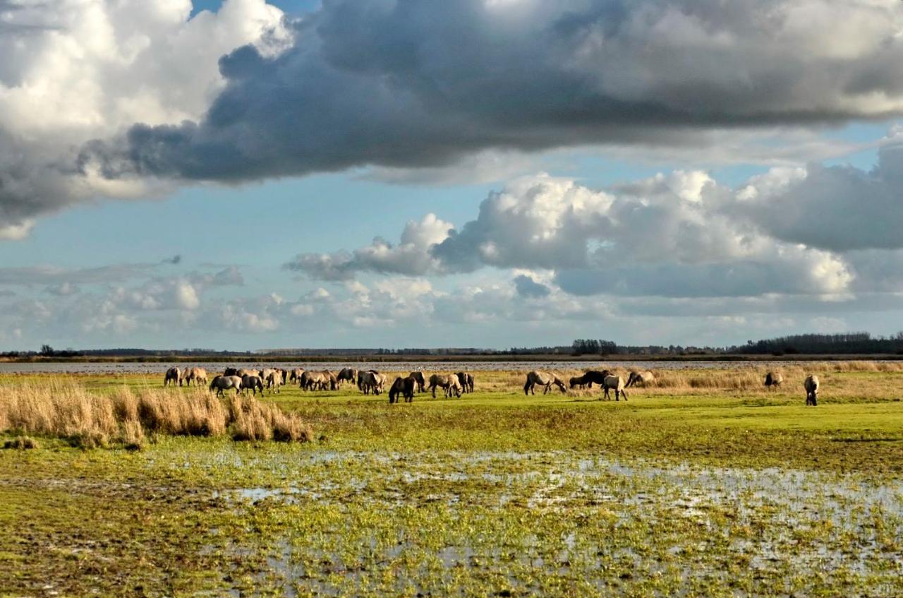 Siblu Camping Lauwersoog Kültér fotó